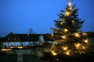 P��itok pre v�etky zmysly, to je advent pri Dunaji