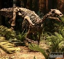 Nov� druh dinosaura je ch�baj�cim �l�nkom evol�cie