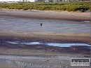 V Uzbekistane SR zv��i akcieschopnos� vodnej z�chrannej slu�by