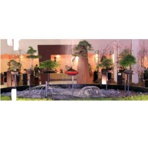 Zajtra začína 12. ročník BONSAI SLOVAKIA 2009 v Nitre