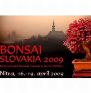 Pozvánka na 12. ročník výstavy BONSAI SLOVAKIA 2009 v Nitre