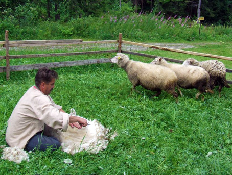 Od bau syra - pozvnka na oviarsku nedeu v Mzeu kysuckej dediny vo Vychylovke