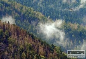 V N. Tatrch robia postreky nepovolenou ltkou, tvrd VLK