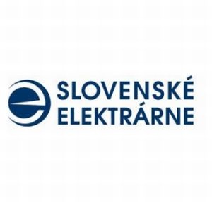 Slovensko zarobilo na predaji SE ďalších 113,8 mil. eur