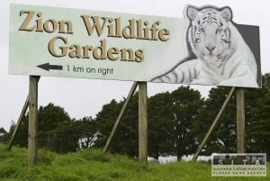 Tiger v ZOO vo Whangarei zabil ošetrovateľa