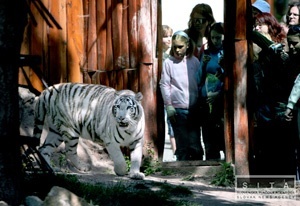 V ZOO v Bratislave začala letná sezóna