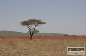 Klimatické zmeny sleduje aj africká únia