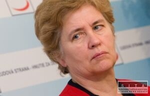 BELOHORSKÁ: Naivne som sa domnievala, že štátnici ocenia europoslancov