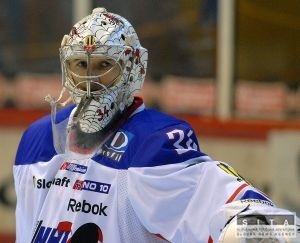Hla ukonil psobenie v Liptovskom Mikuli