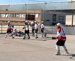 Hokejbal - Výsledkový servis - Extraliga muži, juniori