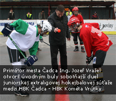 Slovensk hokejbalov extraliga 2007/2008 - seniori