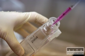 Podnikatelia, ktorí investujú do vedy majú mať podľa ĽS-HZDS úľavy