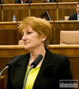 Prezident, ministri a poslanci zrejme bez vyšších platov