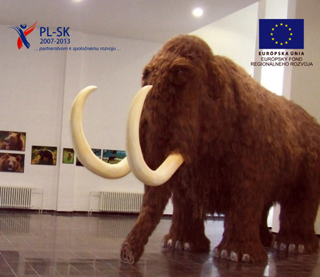 Nová špecializovaná učebňa v priestoroch Spoločnej prírodovednej expozícií v Krásne nad Kysucou