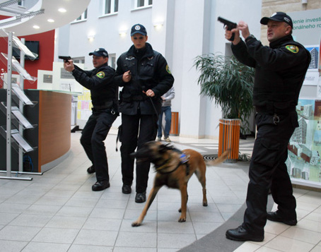 Mestsk a obecn polcie by mohli pomha aj mimo svoj rajn, preukazovali by sa splnomocnenm