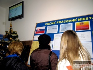 SGI žiada preveriť verejné obstarávanie sociálnych podnikov