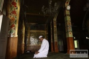 Sviatok ramadn ohrozuje prasacia chrpka