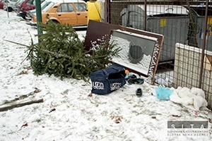 Stromčeky z Petržalky bude zvážať OLO vždy v piatok