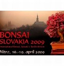 Pozvnka na 12. ronk vstavy BONSAI SLOVAKIA 2009 v Nitre