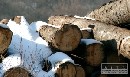 Sociálne podniky v Banskobystrickom kraji sa orientujú na drevovýrobu