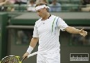 Nalbandian koncom augusta začne trénovať