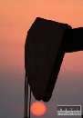  OPEC znila prognzu svetovej spotreby ropy