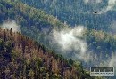V N. Tatrch robia postreky nepovolenou ltkou, tvrd VLK