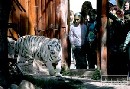 V ZOO v Bratislave zaala letn sezna
