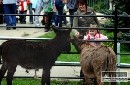 Najmenia ZOO na Slovensku otvorila seznu