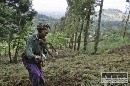 Férové obchodovanie zlepšuje život afrických farmárov