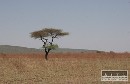Klimatické zmeny sleduje aj africká únia