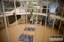 Muž sa za vraždu už druhej priateľky zrejme z väzenia nedostane