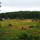 Zachráňme Brizgalky - cholvarky, živý pamätník nášho regiónu