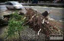 Hasiči v Bratislave odpratávali popadané stromy