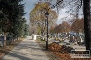 Koncom tda slvime dva sviatky