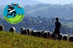 Medzinárodný Goralský maratón 2013 po hrebeňoch hôr Česka, Slovenska a Poľska sa blíži