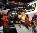 Honda uvedie na americký trh auto ústretové voči psom