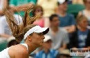 Wimbledon neregistruje iaden potvrden prpad chrpky H1N1