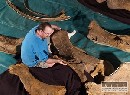 V Austrálii objavili tri nové druhy dinosaurov