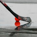 Hokejbal - Vsledky KHL  13. kolo - 13.4.2008