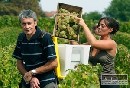 Podľa SMK nový vinársky zákon zvýši dovoz nekvalitných vín