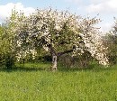 Počas veľkonočných sviatkov bolo nadpriemerne teplo