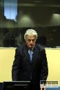 Karadžič chce odložiť začiatok procesu o 10 mesiacov
