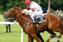 Slovenský Kôň roka 2007 Proud Boris zvíťazil v Merane