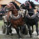 Furmani ovládli Bystrickú dolinu