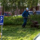 V adci sa bude kosi minimlne, na sdliskch len 2 krt rone