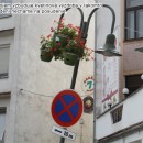 Na kvetinovej vzdobe v adci mohlo Mesto adca uetri 2285 EUR