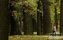 Malacky získali 588 266 eur z EÚ na podporu cestovného ruchu