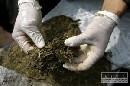 V Banskej Štiavnicii obvinili mladíkov z obchodovania s drogami