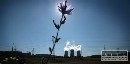 GREENPEACE: Enel manipuluje prerokovanie správy o Mochovciach